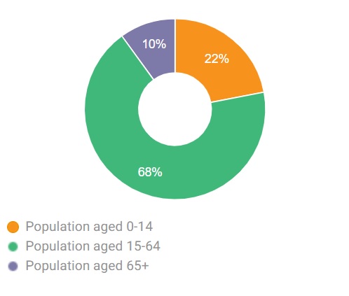 Marketing in Vietnam? What You Need to Know 1 population vietnam marketing